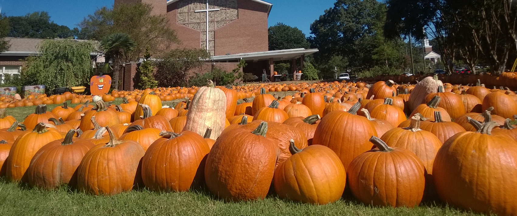 The Pumpkin Patch